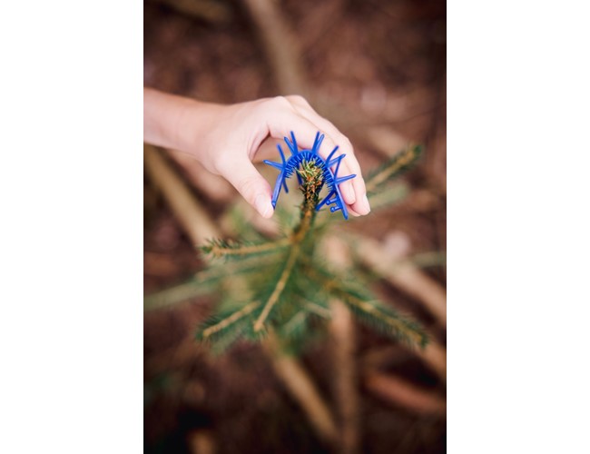 Manchons de protection Cactus - bleu 100 p.